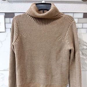 Joie Turtleneck Sweater